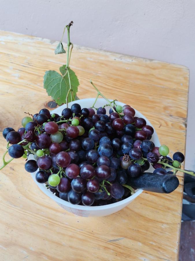 Farm stay Guest On The Edge Stormsrivier